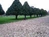 Экскурсия в Дворец Hampton Court