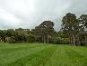 Muckross House       