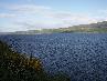 Озеро Лох Несс (Loch Ness) фотогалерея тура 