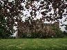 Аббатство Скун и дворец Скун (Scone Abbey and Scone Palace) фотогалерея тура "Открытие Шотландии"